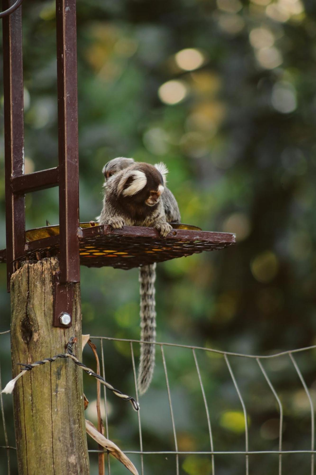 Pousada Recanto Jota Ge Araquari Exteriér fotografie